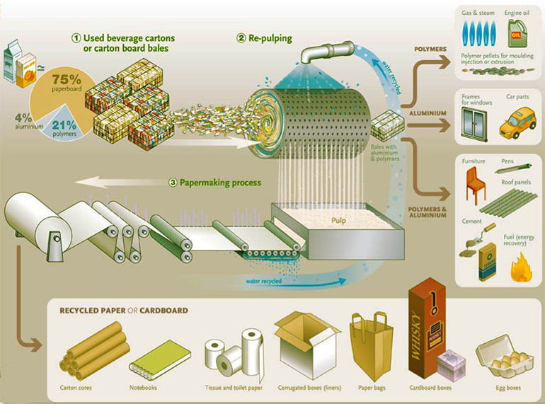 Carton Box Recycling Process Infographic