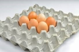 مناقصه 1323 - خرید 163000 عدد شانه تخم مرغ 